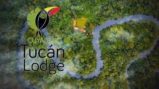 Amazonian Magic Awaits: Experience the Enchantment of #Cuyabeno Tucanlodge #Ecuador #CuyabenoReserve