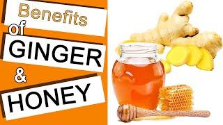 What Does Ginger and Honey Do to Your Body if you Take it Everyday | 6 Benefits of Ginger and Honey