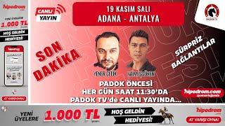 19 Kasım 2024 // SON DAKİKA - Adana - Antalya At Yarışı Tahminleri // Yener Çelik - Naim İşgören