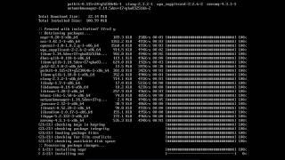 Arch Linux Installation Process