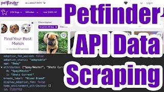 No-Code Petfinder API Data Scraping with HAR Files