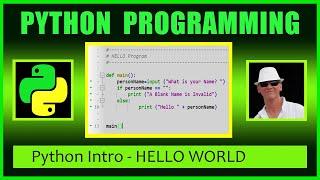 PyScripter Settings and Python Hello World Program - Python Beginners Tutorial - Learn Python Fast