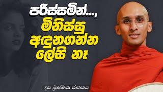 274. මිනිස්සු අඳුනගන්න ලේසි නෑ... | දස බ්‍රාහ්මණ ජාතකය | 2024-02-28