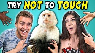 Try Not To Touch Challenge #7 (ft. A Monkey!)