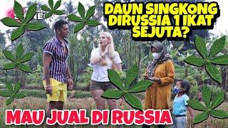 DAUN SINGKONG DIRUSIA SEIKAT 1 JUTA RUPIAH ? BAGUS ISTRI BUKA BISNIS EKSPORT JUALAN SAYUR KE RUSIA