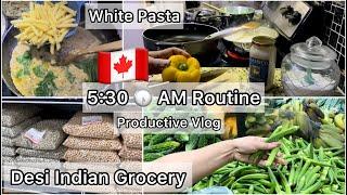 5:30 Morning Routine Productive day Canada Vlog, Recipes, Desi Indian International Grocery Store 