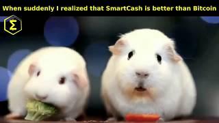 When suddenly I realized that #SmartCash is better than Bitcoin