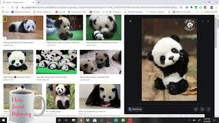 Lets Make a Panda SVG  in inkscape to Use iN Cricut Design Space