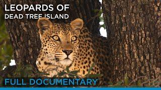 Leopards of Dead Tree Island (Full Documentary) | Earth Touch TV