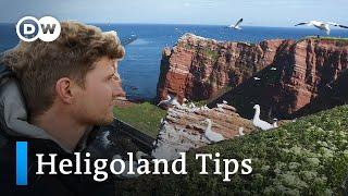 Heligoland Travel Tips | Heligoland: History, Shanties, Nature | Visit the North Sea Island