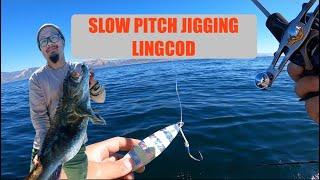 CATCHING LINGCOD ON SLOW PITCH JIG IN CALIFORNIA