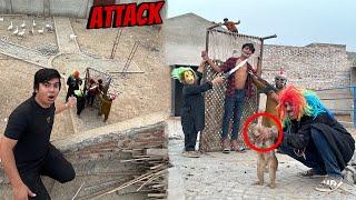 Big Zoo Pr Attack Ho Gea  Subhan Kidnap 