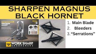 How to Sharpen Magnus Black Hornet with Worksharp