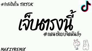 #กำลังฮิตในtiktok (เจ็บตรงนี้)[ลำไย ไหทองคำ]V.แดนซ์แอบจิตMZ REMIX