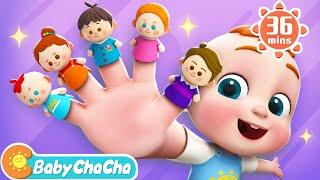 The Finger Family Song | Daddy Finger, Where Are You + More Baby ChaCha Nursery Rhymes & Kids Songs