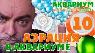 Аквариум. Добрые советы новичку. Аэрация в аквариуме.