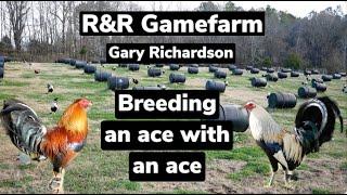 Gary speaks on breeding an ace with an ace