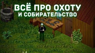 Project Zomboid - Всё про охоту и собирательство - Гайд