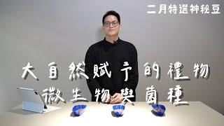 【2022二月神秘豆】大自然賦予的禮物－微生物與菌種｜19烘豆研究室