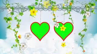 Wedding Heart Shape Green Screen Frame with Flowers Falling Animated HD Background