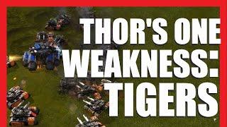 To Be Fair I'm Weak To Tigers Too - Beyond All Reason 8v8 Deathmatch