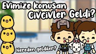 Evimize CİVCİVLER Geldi!? ~Nereden Geldiler? 🪁~ TOCA LİFE WORLD TÜRKÇE - TOCA LİFE WORLD