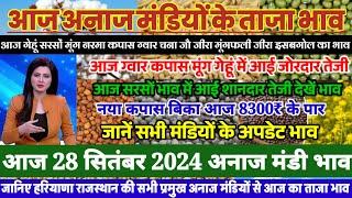 अनाज मंडी भाव| 28 सितंबर 2024 आज कपास सरसों ग्वार गेंहू भाव में आया उछाल| देखें अन्य सभी फसलों भाव