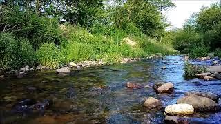 SOOTHING WATER SOUND, NİGHTİNGALE BİRD SOUND Relaxing Stream River Sound, Nature Sounds, Sleep Music
