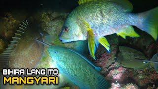 Night Spearfishing Hunting Fresh Seafood | Puro First Class Ang Huli