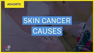 What Causes Skin Cancer?  #Shorts