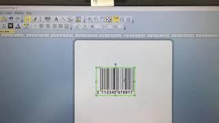 BarTender Design Software: How to print EAN-13 barcode with the guard bars?