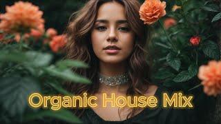 Organic House Mix 2024 | New Year New Genre Mix by dem7how