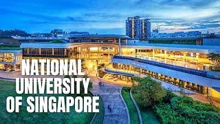 National University of Singapore Walking Tour (2020) / 新加坡国立大学徒步旅行