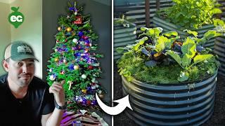 How Smart Gardeners Use Their Old Christmas Trees