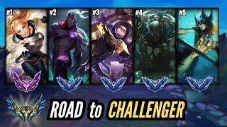 Educational day from DIAMOND to MASTER with SUPPORT (14.22) - PRO Coach back to Challenger