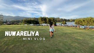 Quick trip to Nuwareliya | Mini vlog in the country side