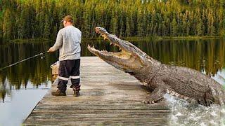 Crocodile Nearly Devoured A Man