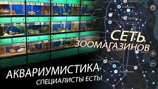 АКВАРИУМИСТИКА В ЗООМАГАЗИНЕ | Как открыть зоомагазин и не совершить много ошибок