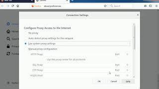 How to Setup a Proxy SOCKS 5 on Firefox