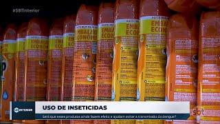 Dengue: Mutação genética do mosquito reduz eficácia do inseticida