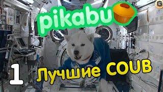 Лучшие coub по версии PIKABU. Часть 1.