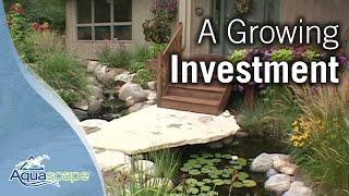 The Water Feature Lifestyle - A Growing Investment