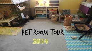 Pet Room Tour | 2014