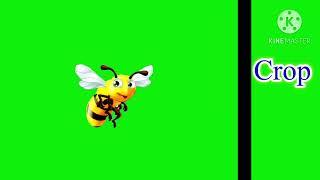 Honey bee green screen | honey bee Cartoon animation green screen | bee green screen video