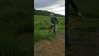 Mowing with a 70cm "Gartensense" Scythe Blade