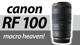 Canon RF 100mm f2.8L Macro REVIEW vs EF 100mm f2.8L Macro