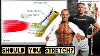 Doug brignole and Castles thoughts on stretching