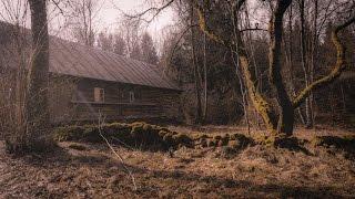 Öde gård inne i skogen