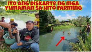 Paano Mag-Alaga at Kumita sa Hito Farming? Millionaire Tips & Techniques