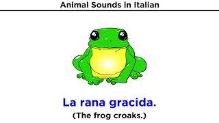 What Sounds do Italian Animals Make?